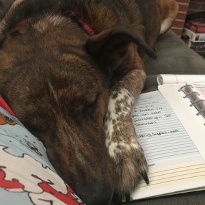 Meet your Posher, Keely